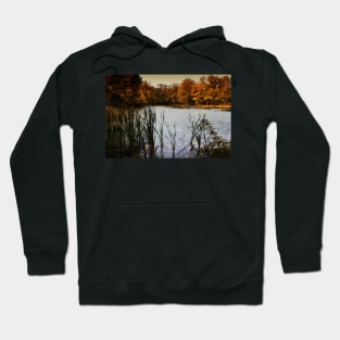 The Lake At Twilight Hoodie